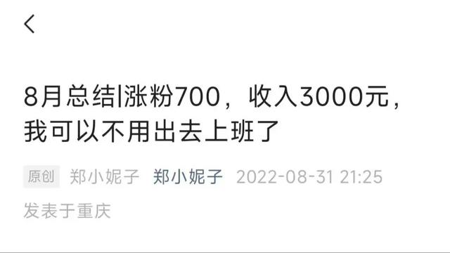 大POS机：2022年4000字总结：年收入5位数，我把写作变成了副业