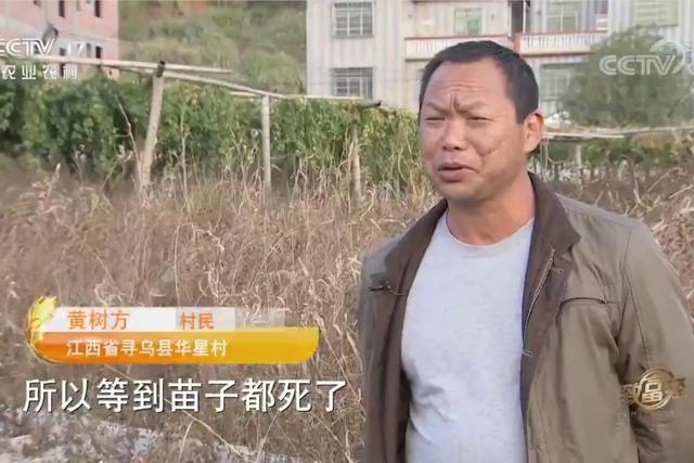 代理拉卡拉：江西男子承包500亩荒山，如今荒山变成聚宝盆，年销售额800多万元