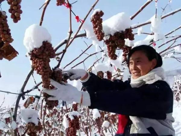 拉卡拉：我们都是这样做农资的（图太多，不要轻易打开）